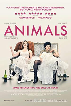 Animals 2019 izle