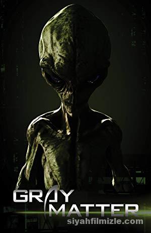 Gray Matter 2018 izle