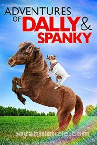 Dally ve Spanky’nin Maceraları 2019 izle