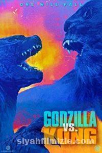 Godzilla Film Serisi