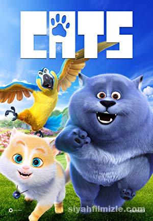 Kediler (Cats) 2018 izle