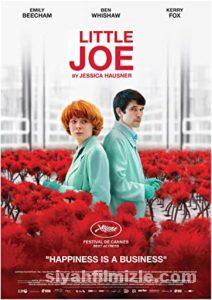 Küçük Joe 2019 izle