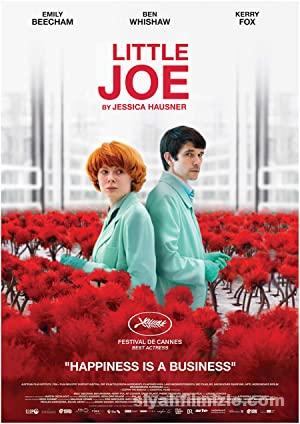 Küçük Joe 2019 izle