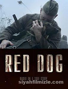 Red Dog 2017 izle