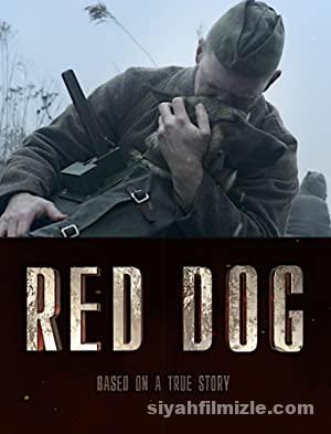 Red Dog 2017 izle