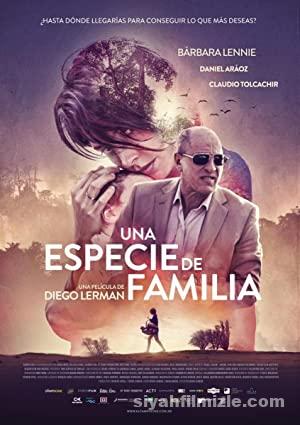 Aile Gibi 2017 izle
