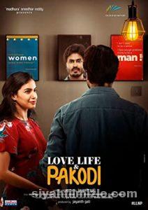 Love, Life & Pakodi 2021 izle