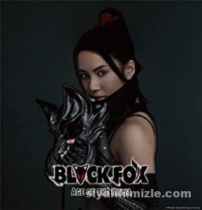 Black Fox: Age of the Ninja (2019) izle