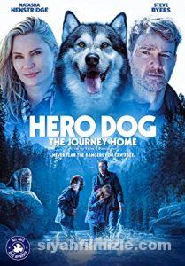 Doğaya Karşı: Eve Yolculuk 2021 izle