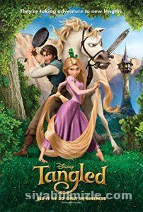 Karmakarışık 2010 izle