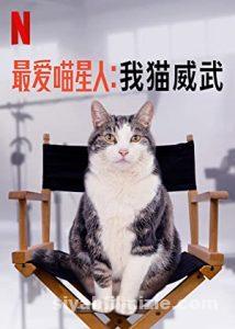 Kedi Aşkına 2020 izle