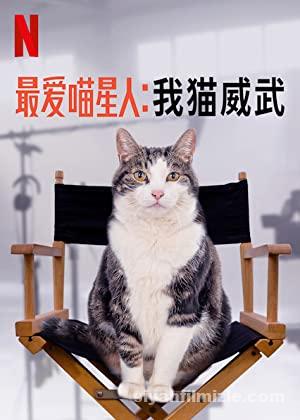 Kedi Aşkına 2020 izle