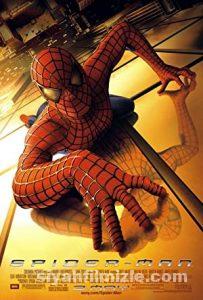 Örümcek Adam 1 2002 izle