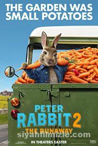 Peter Rabbit 2: Kaçak Tavşan 2021 izle