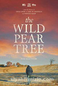 Ahlat Ağacı 2018 izle