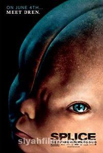 Deney (Splice) 2009 izle