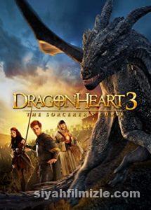 Ejder Yürek 3: Büyücünün Laneti 2015 izle