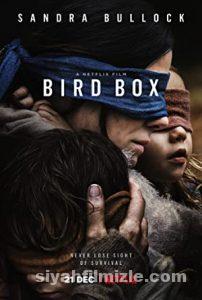 Bird Box 2018 izle