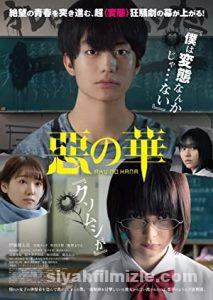 The Flowers Of Evil 2019 izle