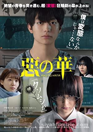 The Flowers Of Evil 2019 izle