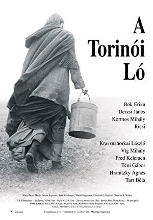 Torino Atı 2011 izle