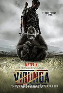 Virunga 2014 izle
