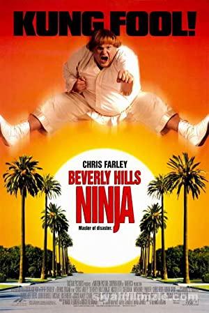 Beverly Hills Ninjası 1997 izle