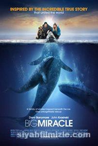 Büyük Mucize (Big Miracle) 2012 izle