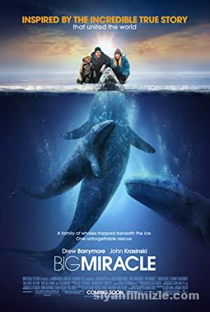 Büyük Mucize (Big Miracle) 2012 izle