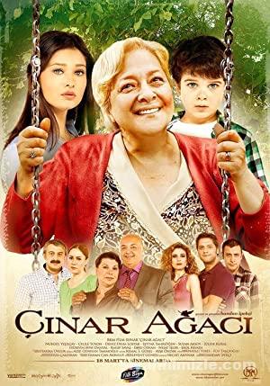 Çınar Ağacı 2011 izle