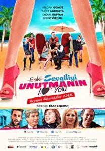 Eski Sevgiliyi Unutmanın 10 Yolu izle