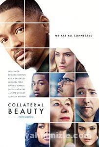 Gizli Güzellik 2016 izle