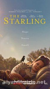 The Starling 2021 izle