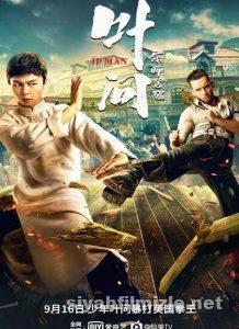 Ip Man: The Awakening 2021 izle