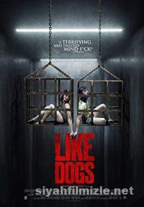 Like Dogs (2021) izle