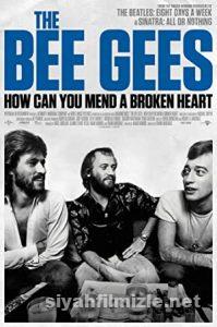 The Bee Gees (2020) izle