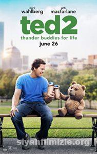 Ayı Teddy 2 2015 izle