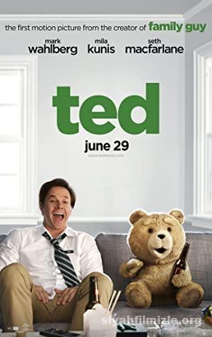 Ayı Teddy 2012 izle