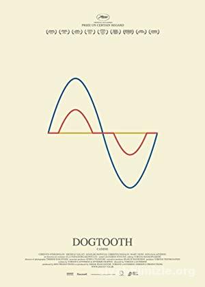 Köpek Dişi 2009 izle