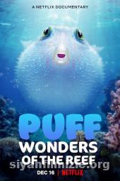 Baloncuk: Resifin Mucizeleri 2021 izle