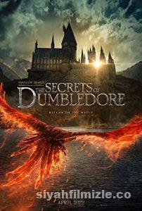 Fantastik Canavarlar: Dumbledore’un Sırları 2022 izle