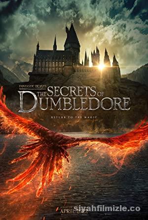 Fantastik Canavarlar: Dumbledore’un Sırları 2022 izle