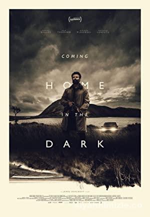 Karanlıkta Eve Dönüş 2021 izle