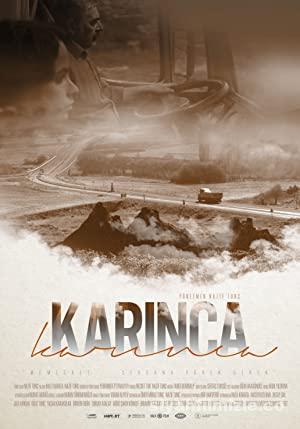 Karınca 2019 izle