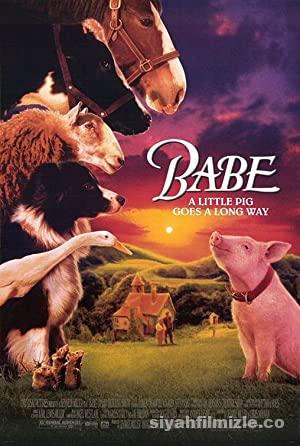 Babe 1995 izle