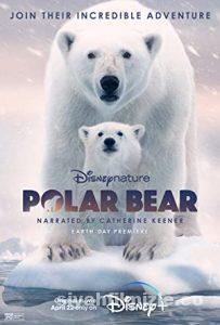 Polar Bear 2022 izle