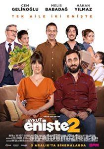 Aykut Enişte Film Serisi