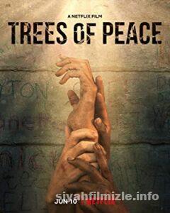 Trees of Peace 2021 izle