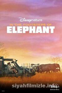 Filin Ayak İzinden 2020 izle