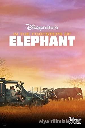 Filin Ayak İzinden 2020 izle